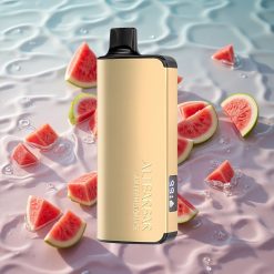 Alibarbar Ingot 9000 Puffs Engangs Vape Vannmelon Is med 22ml E-væske